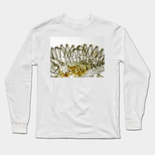 Fly "tongue" (labellum with pseudotracheae) under the microscope. Long Sleeve T-Shirt